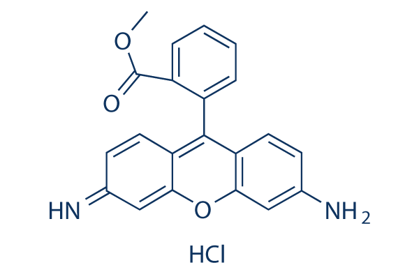 Rhodamine 123 Chemical Structure