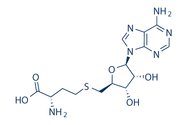 SAH (S-Adenosyl-L-homocysteine) Chemical Structure
