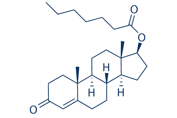 Testosterone Enanthate Chemical Structure
